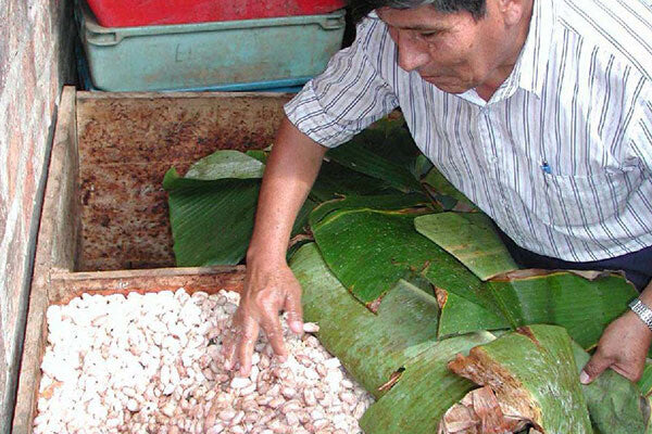 CACAO PURO BIO 150g