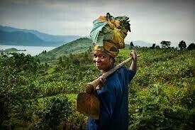 CAFE eathica  CONGO KIVU BIO 250g