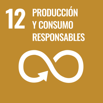 BOLSA PLASTICO RECICLADO