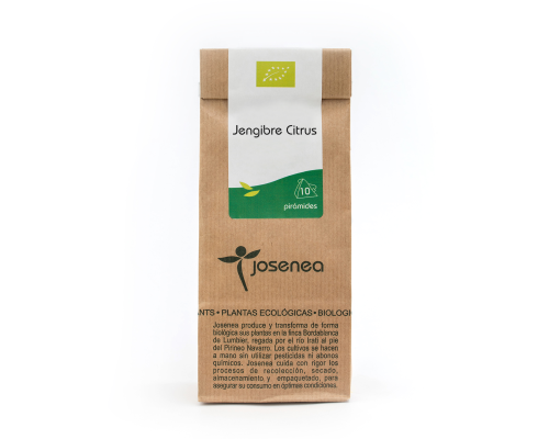 JENGIBRE CITRUS 10 BOLSAS